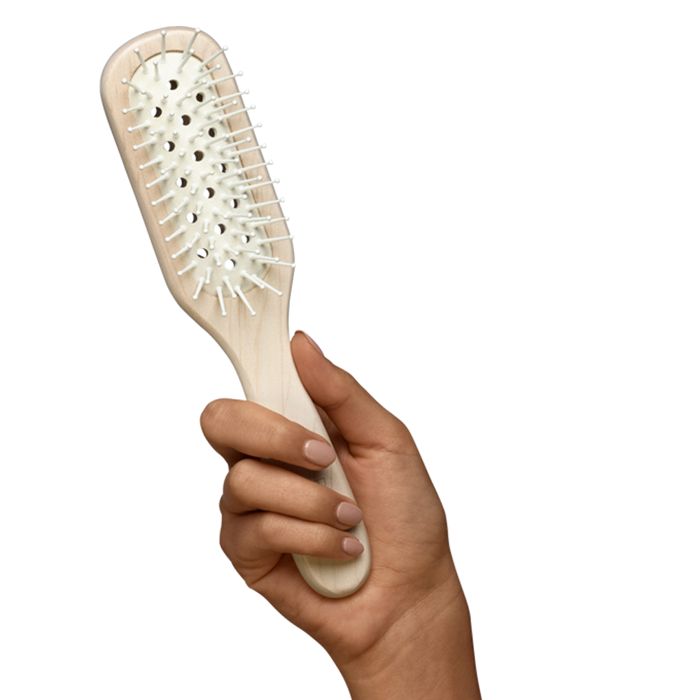 PK_HAND_ST_GROOMING_BRUSH